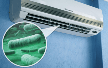 klimalardan gelen hava