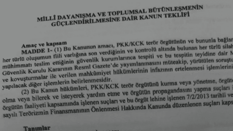 Çerçeve Yasa